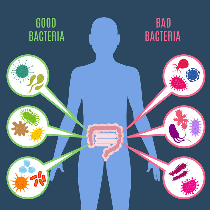 10 Evidence Based Ways To Boost Healthy Gut Bacteria
